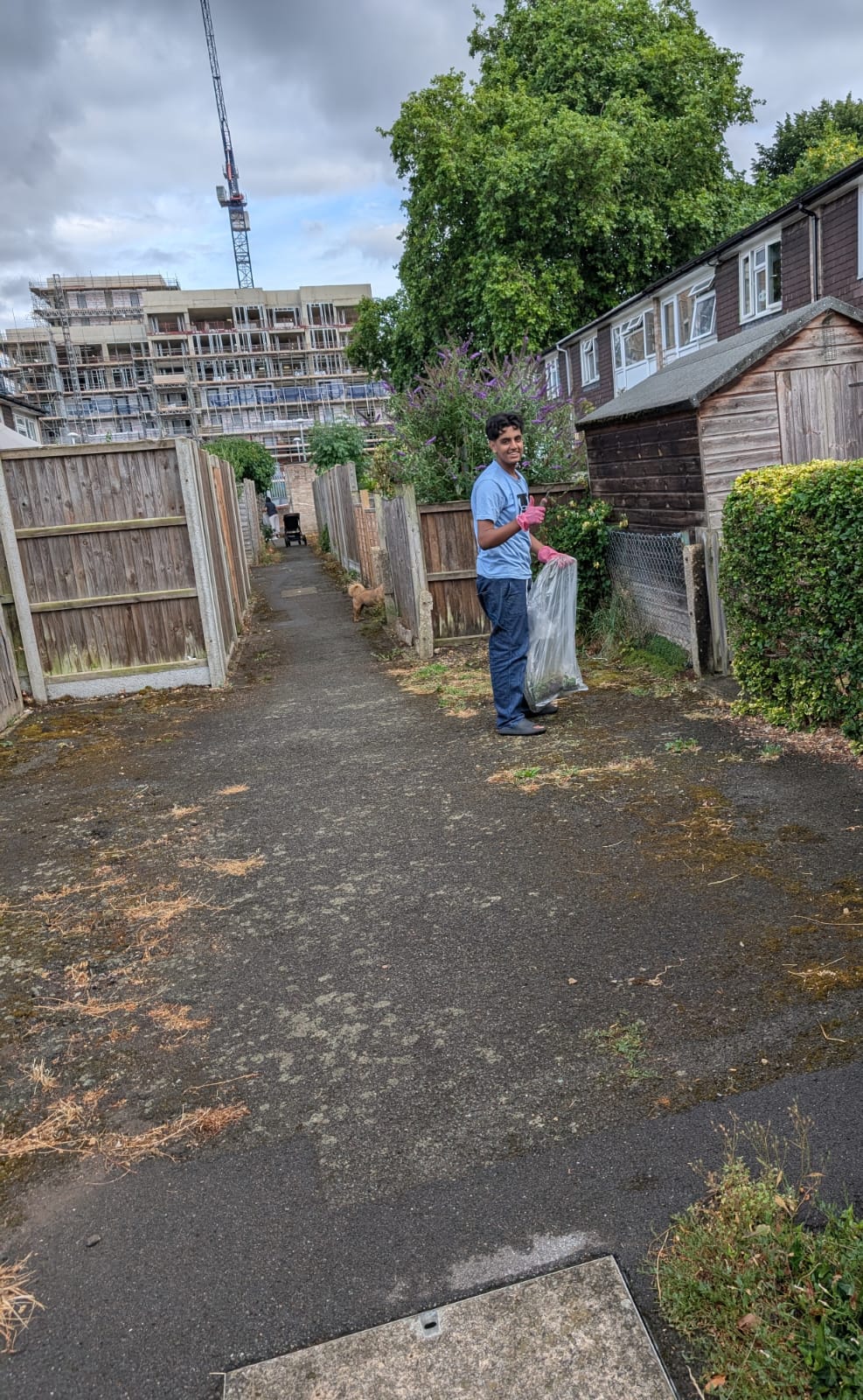 17th July Cleaning Activity 2